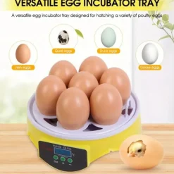 Small Family Use Egg Incubator Automatic Temperature Control Intelligent Incubator 7-egg Capacity Suitable for Chickens Ducks Turtles Birds