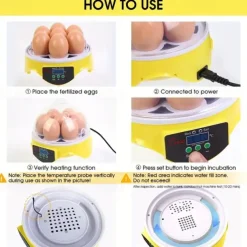 Small Family Use Egg Incubator Automatic Temperature Control Intelligent Incubator 7-egg Capacity Suitable for Chickens Ducks Turtles Birds