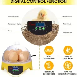 Small Family Use Egg Incubator Automatic Temperature Control Intelligent Incubator 7-egg Capacity Suitable for Chickens Ducks Turtles Birds