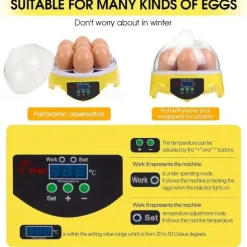 Small Family Use Egg Incubator Automatic Temperature Control Intelligent Incubator 7-egg Capacity Suitable for Chickens Ducks Turtles Birds