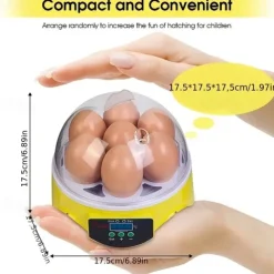Small Family Use Egg Incubator Automatic Temperature Control Intelligent Incubator 7-egg Capacity Suitable for Chickens Ducks Turtles Birds