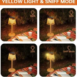 Solar USB Charging Desk Lamp - Outdoor Camping Lamp, Bar & Coffee Shop Dining Table Light, Night Light and Reading Lamp 1PC