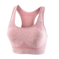 Sports Bra Hollow Mesh Back Sports Bra Fitness Yoga Vest Shockproof Yoga Bra Without Steel Ring