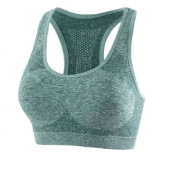 Sports Bra Hollow Mesh Back Sports Bra Fitness Yoga Vest Shockproof Yoga Bra Without Steel Ring