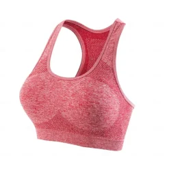 Sports Bra Hollow Mesh Back Sports Bra Fitness Yoga Vest Shockproof Yoga Bra Without Steel Ring