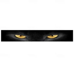 StarFire 3D Transparent Car Front Windshield Stickers Front And Rear Gear Decorative Sunshade Decals Modified Front Gear Car Stickers