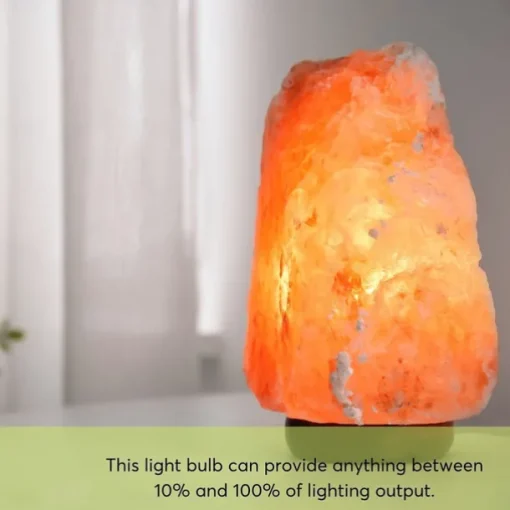 T10 Vintage Edison Light Bulb 40 Watt Dimmable Antique Tubular Old Fashioned Incandescent Bulb Warm White E26/E27 Base Amber Glass Lamp for Home Light Fixtures Decorative AC220V AC110V