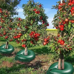 Tree Watering Bag Slow Release Tree Watering Ring Tree Watering System Automatic Drip System Kit PVC Drip Irrigation Water Pouch for Planting Gardening Trees and Shrubs