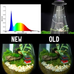UFO Micro Landscape Fill Light LED Plant Light Moss Ecological Bottle Light LED Plant Growth Light Creative Tree of Life Light USB Power Supply 1PC