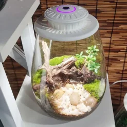 UFO Micro Landscape Fill Light LED Plant Light Moss Ecological Bottle Light LED Plant Growth Light Creative Tree of Life Light USB Power Supply 1PC