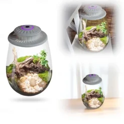 UFO Micro Landscape Fill Light LED Plant Light Moss Ecological Bottle Light LED Plant Growth Light Creative Tree of Life Light USB Power Supply 1PC