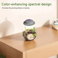 UFO Micro Landscape Fill Light LED Plant Light Moss Ecological Bottle Light LED Plant Growth Light Creative Tree of Life Light USB Power Supply 1PC