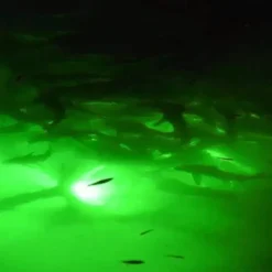 Underwater Fishing Light Submersible Fish Finder Lamp COB LED Innovative Compact Design with 5M Cable 1Pc