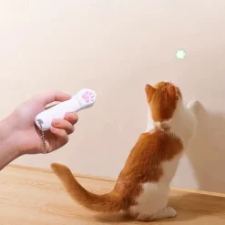 USB Charging Projection LED Cat Toys Funny Infrared Ultraviolet Ray mouse Fish Bone Cat Clawpattern Beam Tease Cat Accessories