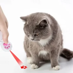 USB Charging Projection LED Cat Toys Funny Infrared Ultraviolet Ray mouse Fish Bone Cat Clawpattern Beam Tease Cat Accessories