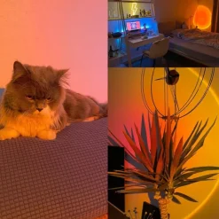 USB Sunset Lamp Sunset Projector Mood Light Living Room Bedroom Night Light Room Decor Bar Atmosphere Photography Background