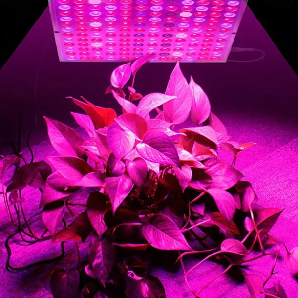 UV Black Light IR Full Spectrum LED Grow Light Panel - 45W, 144 LEDs for Indoor Plant Growing, Hydroponic & Greenhouse