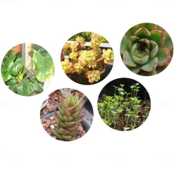 UV Black Light IR Full Spectrum LED Grow Light Panel - 45W, 144 LEDs for Indoor Plant Growing, Hydroponic & Greenhouse