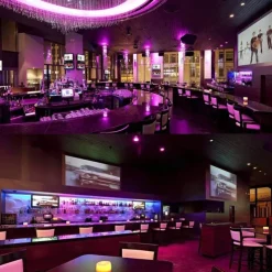 UV Blacklight LED Strobe Stage Par Light Party Lights Indoor 36W 36 LEDs with Remote Controller for Disco Party Club KTV Wedding