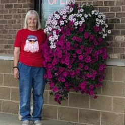 UV Simulation Artificial Morning Glory,Simulation Artificial Flower Bouquet - Fade Resistant Outdoor Flowers,Fake Petunias,Realistic Hanging Plants Flowers Vines Garden Yard Decoration