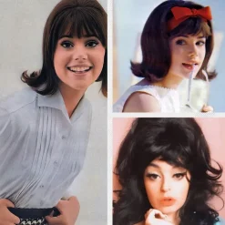 Vintage Brown Wig 50s 60s 70s with Bangs Synthetic Hair for Women Party Halloween Wigs