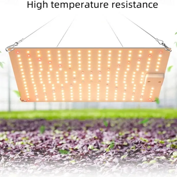 50W LED Grow Light for Indoor Plants Full Spectrum Sunlike Lights for Seedlings Veg Bloom in 2x2/3x3 Grow Tent