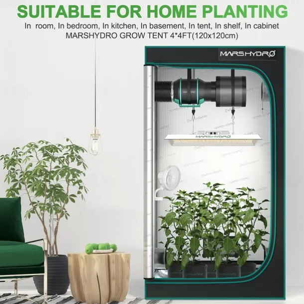 50W LED Grow Light for Indoor Plants Full Spectrum Sunlike Lights for Seedlings Veg Bloom in 2x2/3x3 Grow Tent