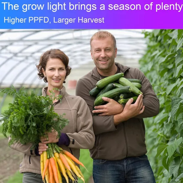 50W LED Grow Light for Indoor Plants Full Spectrum Sunlike Lights for Seedlings Veg Bloom in 2x2/3x3 Grow Tent