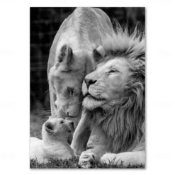 Wall Art Canvas Prints Animals Home Decoration Decor Rolled Canvas No Frame Unframed Unstretched