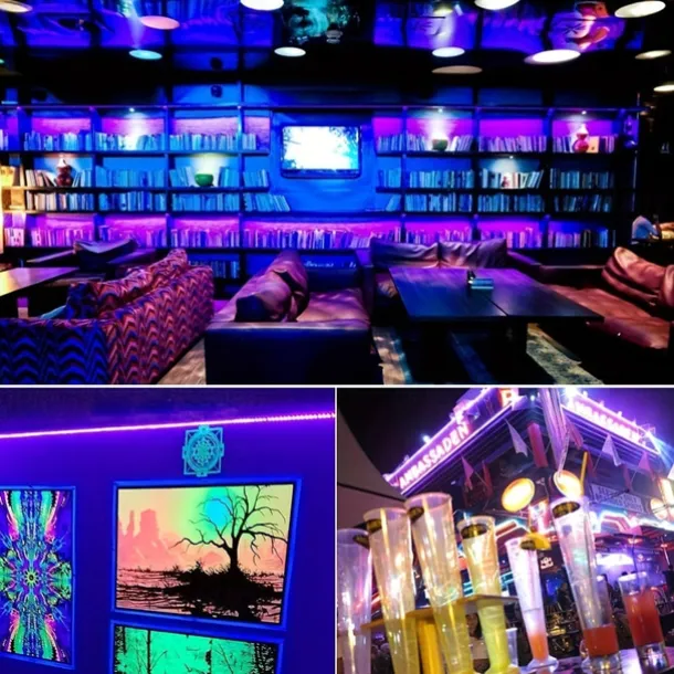 Waterproof Black UV Strip Light, IP65 Purple LED Black Light Fixture Kit 600 LED Light Strips with 12V Power Supply for Outdoor and Indoor Halloween Luminous Neon Lights Party Cabinets Posters Boats