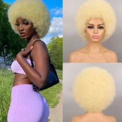 Wig 70s Afro Wigs for Black Women Afro Puff Wigs Bouncy and Soft Natural Looking Full Wigs for Daily Party Cosplay Costume Halloween Wigs
