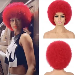 Wig 70s Afro Wigs for Black Women Afro Puff Wigs Bouncy and Soft Natural Looking Full Wigs for Daily Party Cosplay Costume Halloween Wigs
