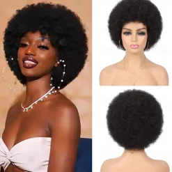 Wig 70s Afro Wigs for Black Women Afro Puff Wigs Bouncy and Soft Natural Looking Full Wigs for Daily Party Cosplay Costume Halloween Wigs