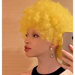 Wig 70s Afro Wigs for Black Women Afro Puff Wigs Bouncy and Soft Natural Looking Full Wigs for Daily Party Cosplay Costume Halloween Wigs