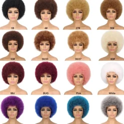 Wig 70s Afro Wigs for Black Women Afro Puff Wigs Bouncy and Soft Natural Looking Full Wigs for Daily Party Cosplay Costume Halloween Wigs