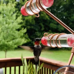 Window Hummingbird Feeder Window Mount Hummingbird Feeder Water Drinker Outdoor Garden Yard Decor