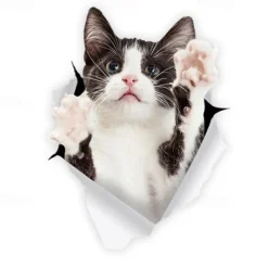 Winston & Bear 3D Cat Stickers - 2 Pack - Black Cat Wall Decals - Cat Wall Stickers for Bedroom - Fridge - Toilet - Car - Retail Packaged