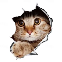 Winston & Bear 3D Cat Stickers - 2 Pack - Black Cat Wall Decals - Cat Wall Stickers for Bedroom - Fridge - Toilet - Car - Retail Packaged