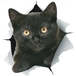 Winston & Bear 3D Cat Stickers - 2 Pack - Black Cat Wall Decals - Cat Wall Stickers for Bedroom - Fridge - Toilet - Car - Retail Packaged