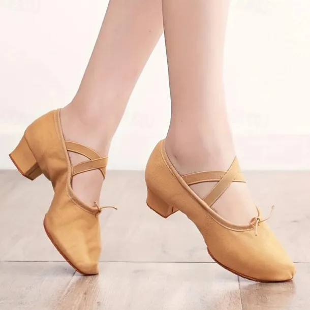 Women's Ballet Shoes Performance Party Evening Heel Cuban Heel Elastic Adults' Black White Pink