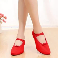 Women's Ballet Shoes Performance Party Evening Heel Cuban Heel Elastic Adults' Black White Pink