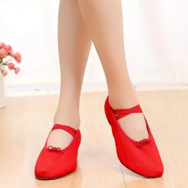 Women's Ballet Shoes Performance Party Evening Heel Cuban Heel Elastic Adults' Black White Pink