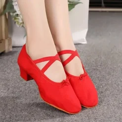 Women's Ballet Shoes Performance Party Evening Heel Cuban Heel Elastic Adults' Black White Pink