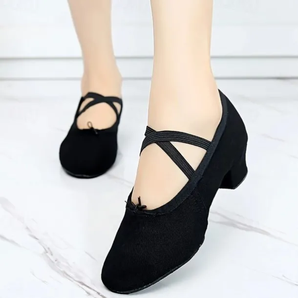 Women's Ballet Shoes Performance Party Evening Heel Cuban Heel Elastic Adults' Black White Pink