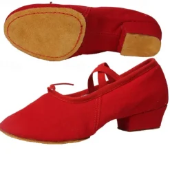 Women's Ballet Shoes Performance Party Evening Heel Cuban Heel Elastic Adults' Black White Pink