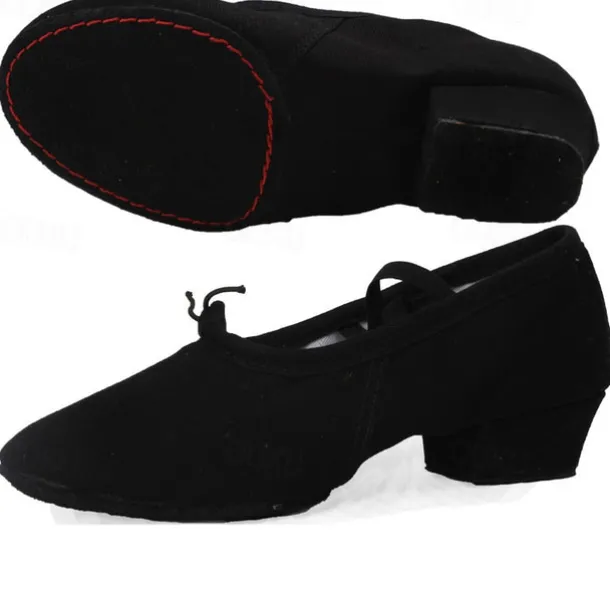 Women's Ballet Shoes Performance Party Evening Heel Cuban Heel Elastic Adults' Black White Pink