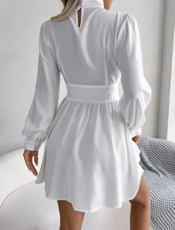 Women's Black Dress Mini Dress Ruched Hollow Out Casual Stand Collar Long Sleeve Black White Wine Color