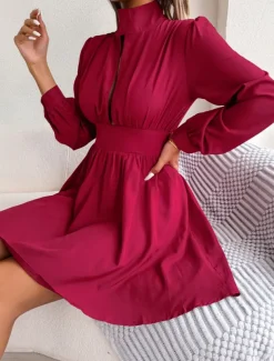 Women's Black Dress Mini Dress Ruched Hollow Out Casual Stand Collar Long Sleeve Black White Wine Color