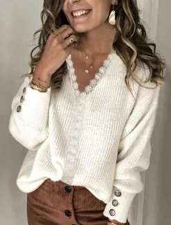 Women's Blouse Vintage Casual Lace Long Sleeve V Neck Work Black White Pink Green Spring Fall Winter