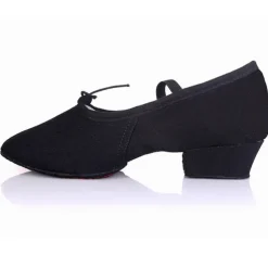 Women's Canvas Ballroom Dance Shoes with Low Heel and Suede Sole - Ideal for Latin Dance, Soft Sole Dance Shoes for Performance